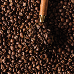 Henry’s Organic Conquistador Costa Rica Dark Roast Coffee — coffee product image 2