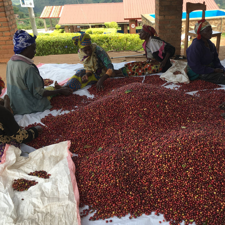 Ejo Heza's Rwanda