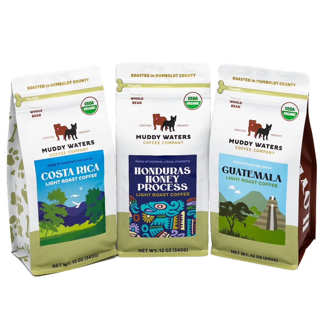 Bag of specialty roast coffee from Guatemala with notes of Fruity