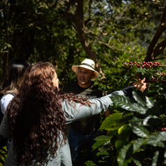Spirit Animal Honduran Espresso Blend — coffee product image 3