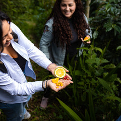 Spirit Animal Yuliana Hernandez Catuai Coffee — coffee product image 2