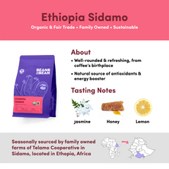 Bean & Bean Ethiopia Sidamo Organic Coffee — coffee profile and sourcing graphic, image 3