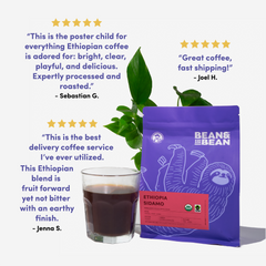 Bean & Bean Ethiopia Sidamo Organic Coffee — customer review graphic, image 5