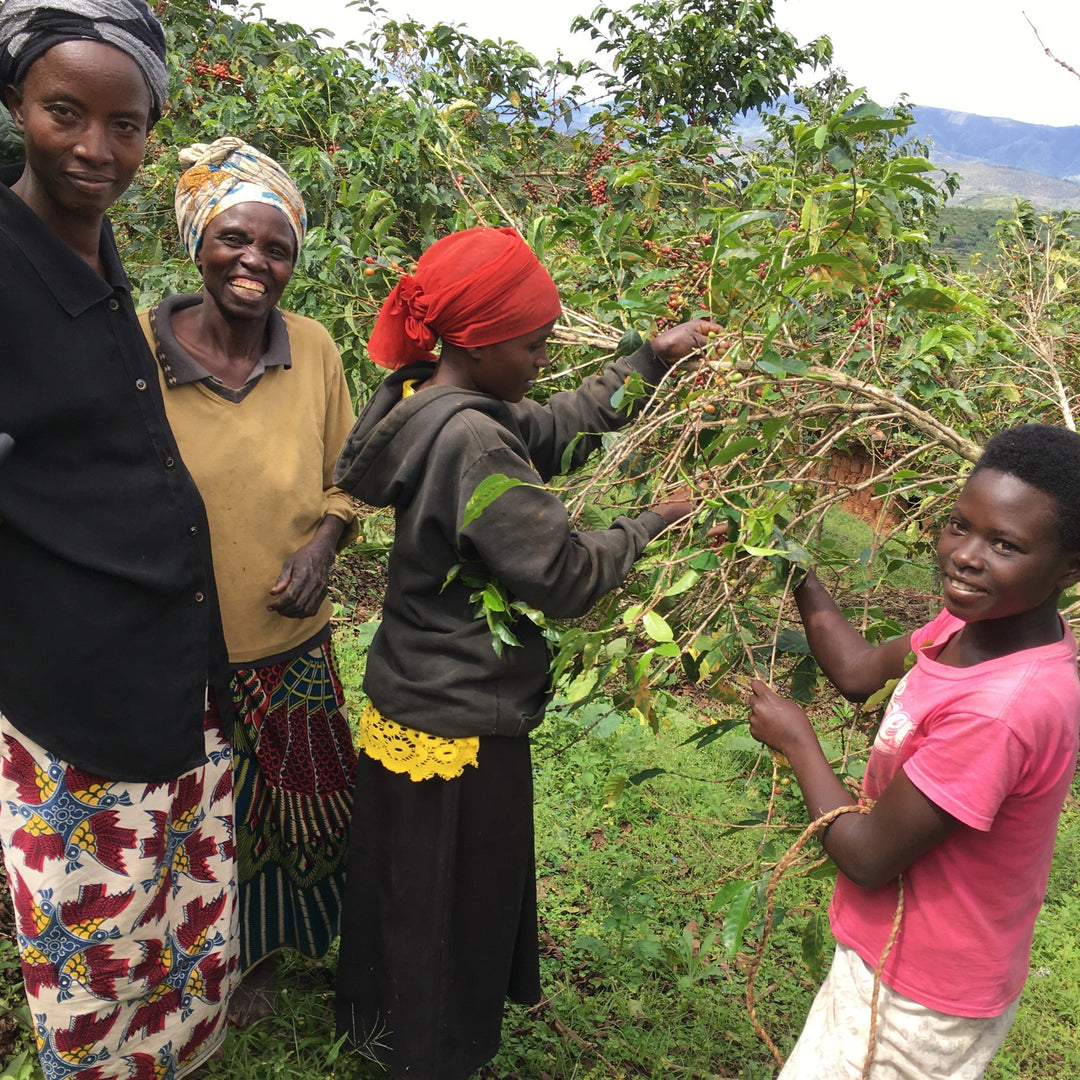 Ejo Heza's Rwanda