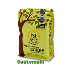 Yellow and green Tomorrow’s Coffee bag with bird-and-tree artwork — Tomorrow’s Coffee Guatemalan Organic Coffee gallery