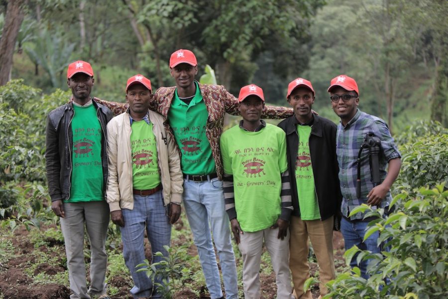 Ethiopia Sidamo Shantawene, GR1 Organic