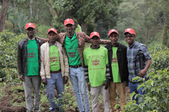 Six people standing among coffee plants