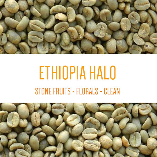 Ethiopia Halo Beriti Yirgacheffe Bekele Gemeda Washed GREEN BEANS -