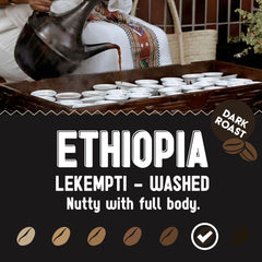 Ethiopia Lekempti washed dark-roast profile with coffee cupping cups — Ethiopia Lekempti Dark Roast Coffee, 5 lb gallery