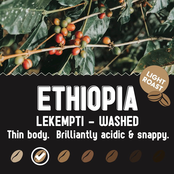 Ethiopia Lekempti Washed Light Roast | Bulk 5lb.