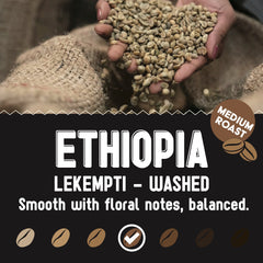 Medium-roast Ethiopia Lekempti washed profile with hands holding green beans — Ethiopia Lekempti Medium Roast Coffee gallery