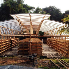 Guatemala – Finca San Jerónimo Miramar by Nossa Familia Coffee — coffee package, image 7 of 10