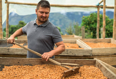 Dayes Colombia Geisha Anaerobic Honey Coffee Specialty coffee product or farm photograph — image 2