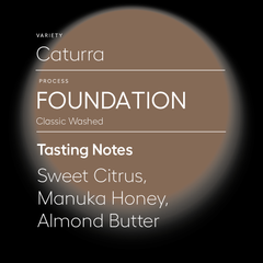The Foundation Washed Caturra Coffee — product and packaging image 3