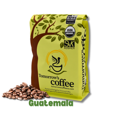 Tomorrow’s Coffee bag beside lighter-roasted whole beans — Tomorrow’s Coffee Guatemalan Organic Coffee gallery