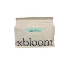 Torque Gigesa Guji Washed Ethiopia Coffee — Gigesa Guji coffee xBloom xPod eight-pack — image 5
