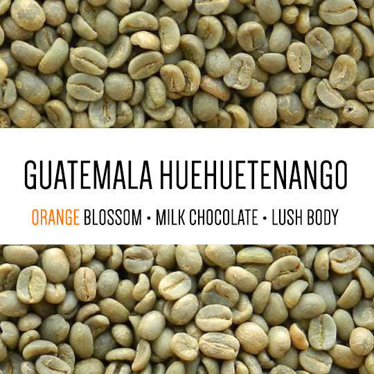 Guatemala Huehuetenango - Waykant - Green Beans -