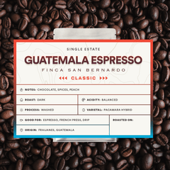 Blue Hummingbird San Bernardo Guatemala Espresso — coffee product image 2