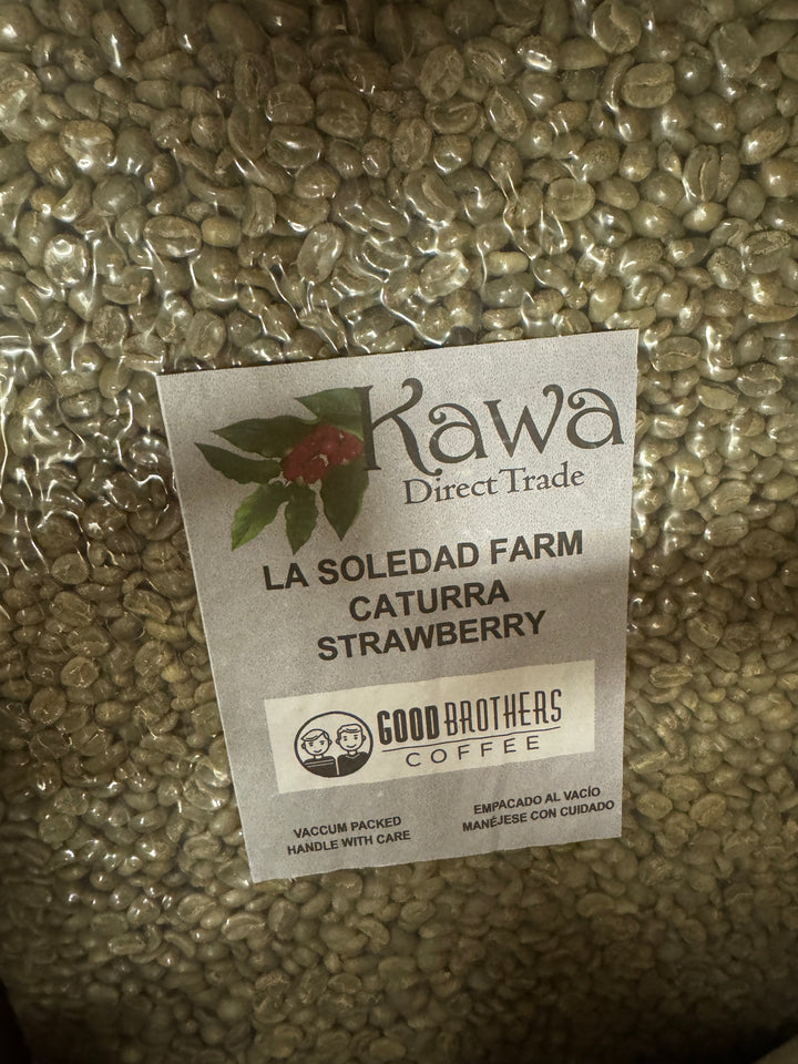 Strawberry Lollipop - Caturra Washed - Green Beans -