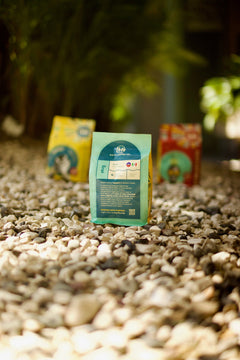 Back of a green coffee package displayed outdoors on pale stones