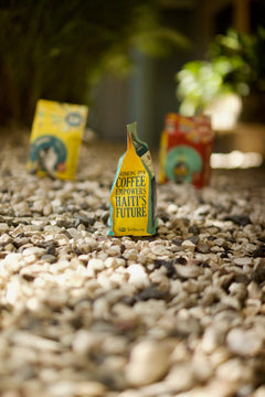 Front of Sanctuary’s yellow illustrated coffee pouch in a shaded outdoor display