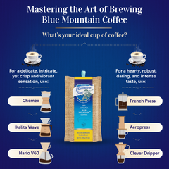 Brewing-method comparison graphic with Plantation Blue 16 oz medium whole-bean Jamaica Blue Mountain coffee and filter and immersion brewer illustrations