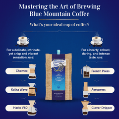 Brewing-method comparison graphic with Plantation Blue 16 oz medium ground Jamaica Blue Mountain coffee and filter and immersion brewer illustrations