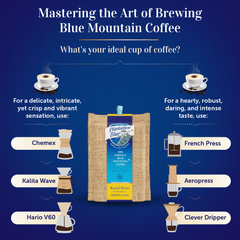 Brewing-method comparison graphic with Plantation Blue 8 oz medium whole-bean Jamaica Blue Mountain coffee and filter and immersion brewer illustrations