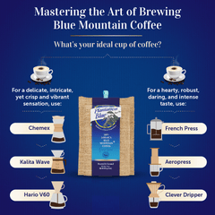 Brewing-method comparison graphic with Plantation Blue 8 oz medium ground Jamaica Blue Mountain coffee and filter and immersion brewer illustrations
