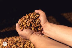 New Wave Lowpass Colombia Decaf by New Wave Coffee — coffee package, image 2 of 2
