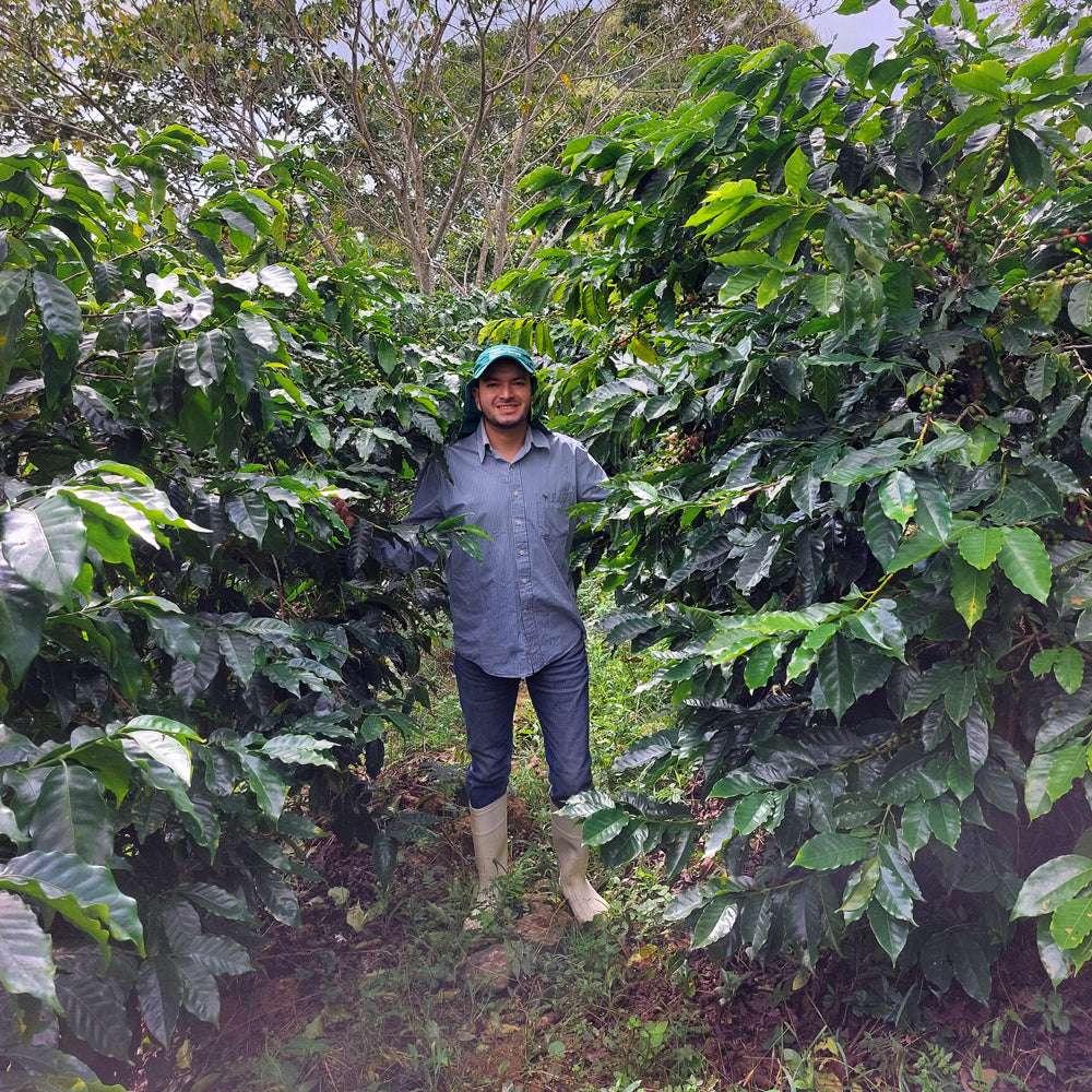Bag of dark roast coffee from Origin Unknown with notes of Fruity, Floral