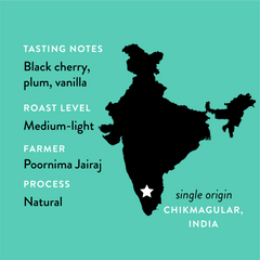 Origin and flavor map for Varshini's India coffee from Chikmagalur