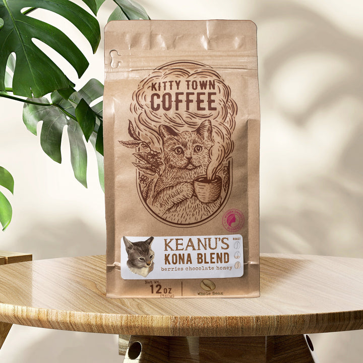 Bag of specialty roast coffee from Guatemala with notes of Rich Flavors