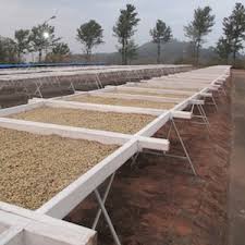 Kaveri Kerkeicoondah Medium-Light Roast Coffee Kerkeicoondah coffee estate — image 6