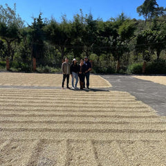 Coffee producer Lilly drying coffee beans