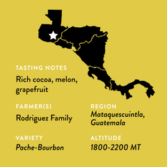 Lilly’s Guatemala Medium Roast Coffee — alternate package view