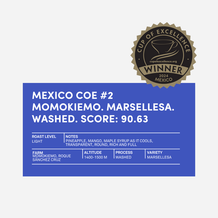 Bag of specialty roast coffee from Costa Rica with notes of Rich Flavors