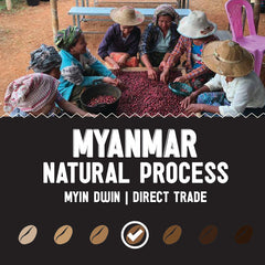 Myin Dwin Myanmar natural-process label beneath a coffee-sorting photograph — Myanmar Myin Dwin Natural Coffee, 5 lb gallery