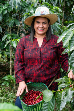 Spirit Animal Raquel Giron Parainema Coffee — coffee product image 2