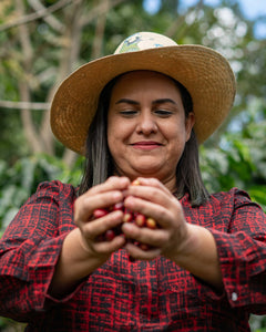 Spirit Animal Raquel Giron Parainema Coffee — coffee product image 5