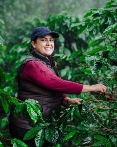 Spirit Animal Raquel Giron Parainema Coffee — coffee product image 3