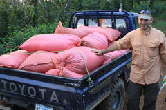 Nossa Familia Nicaragua Maragogipe Natural Coffee — man beside a pickup truck loaded with red sacks