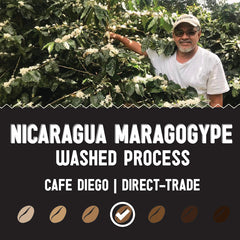 Nicaragua Maragogype washed-process profile with a person beside coffee plants — Nicaragua Maragogype Medium Roast Coffee gallery
