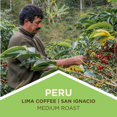 Person handling coffee cherries beneath a Peru Lima Coffee banner — Tiny Footprint Peru Lima Cafe Medium Roast Coffee
