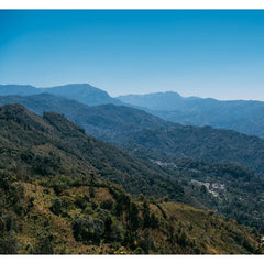 Coffee producer story image for Frida's Guatemala-DRC blend