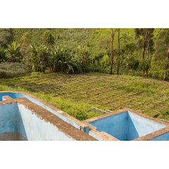 Coffee farm community represented in Charlotte's DRC story