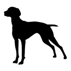 Rusty Dog Vice Grip Full City+ Dark Roast — product gallery detail, image 2