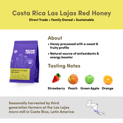 Bean & Bean Costa Rica Las Lajas Red Honey — coffee profile and sourcing graphic, image 3