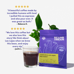 Bean & Bean Costa Rica Las Lajas Red Honey — customer review graphic, image 5