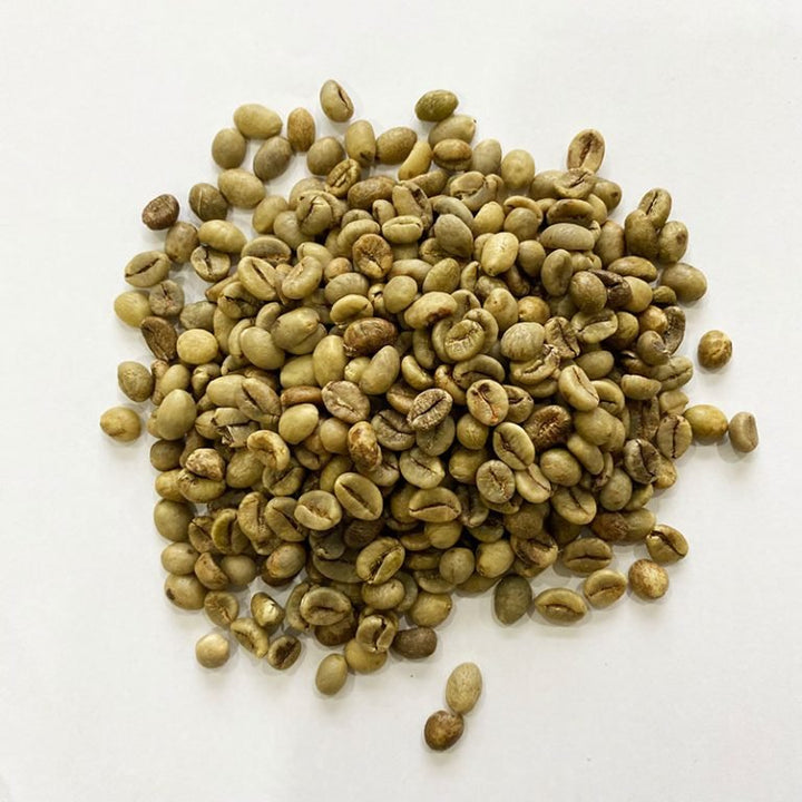 Uganda Robusta SCR 18 Green Bean -